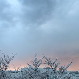 Meet your Posher, Eve